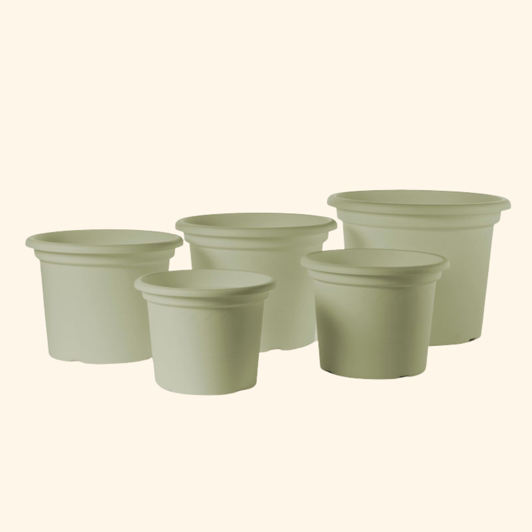 Geo Pot 9.75″ – Rosemary